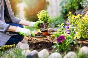 Mehr über den Artikel erfahren Details, die dem Garten Persönlichkeit verleihen