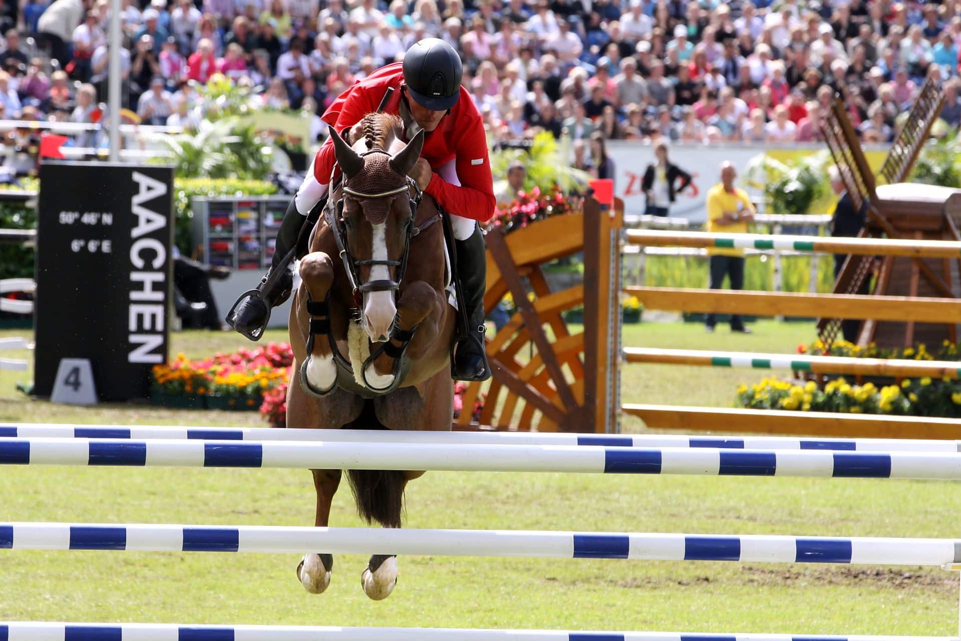 show jumping horses for sale at a large arena event with a rider in red and a powerful horse clearing a blue and white fence in front of a crowd