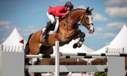 Why Watching Precision-Based Horse Competitions Never Gets Old